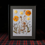 Cuadro "Calendula"