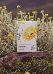 Calendula Soap