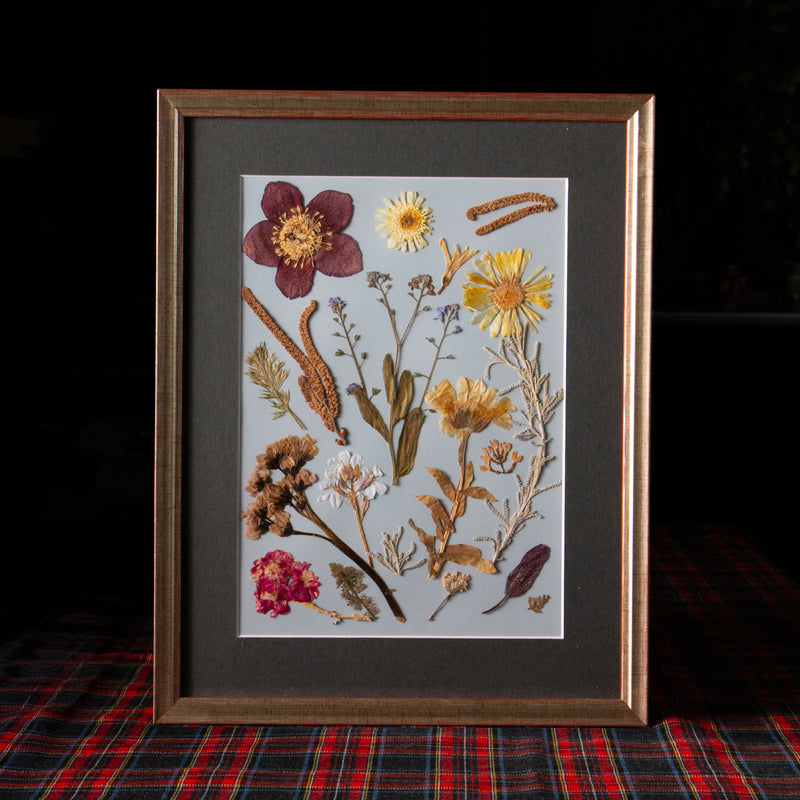 Cuadro botánico enmarcado con marco de madera dorada y paspartú, flores y follajes prensados cuidadosamente dispuestos sobre fondo claro, colección “Jardín Preservado”.