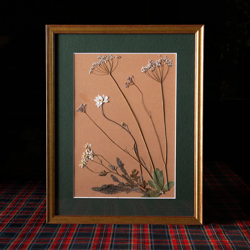 Cuadro botánico enmarcado con marco de madera dorado y paspartú, flores y follajes prensados cuidadosamente dispuestos sobre fondo claro, colección “Jardín Preservado”.