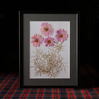 Cuadro botánico enmarcado con marco de madera negra y paspartú, flores y follajes prensados cuidadosamente dispuestos sobre fondo claro, colección “Jardín Preservado”.