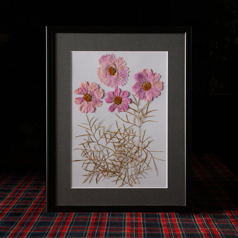 Cuadro botánico enmarcado con marco de madera negra y paspartú, flores y follajes prensados cuidadosamente dispuestos sobre fondo claro, colección “Jardín Preservado”.