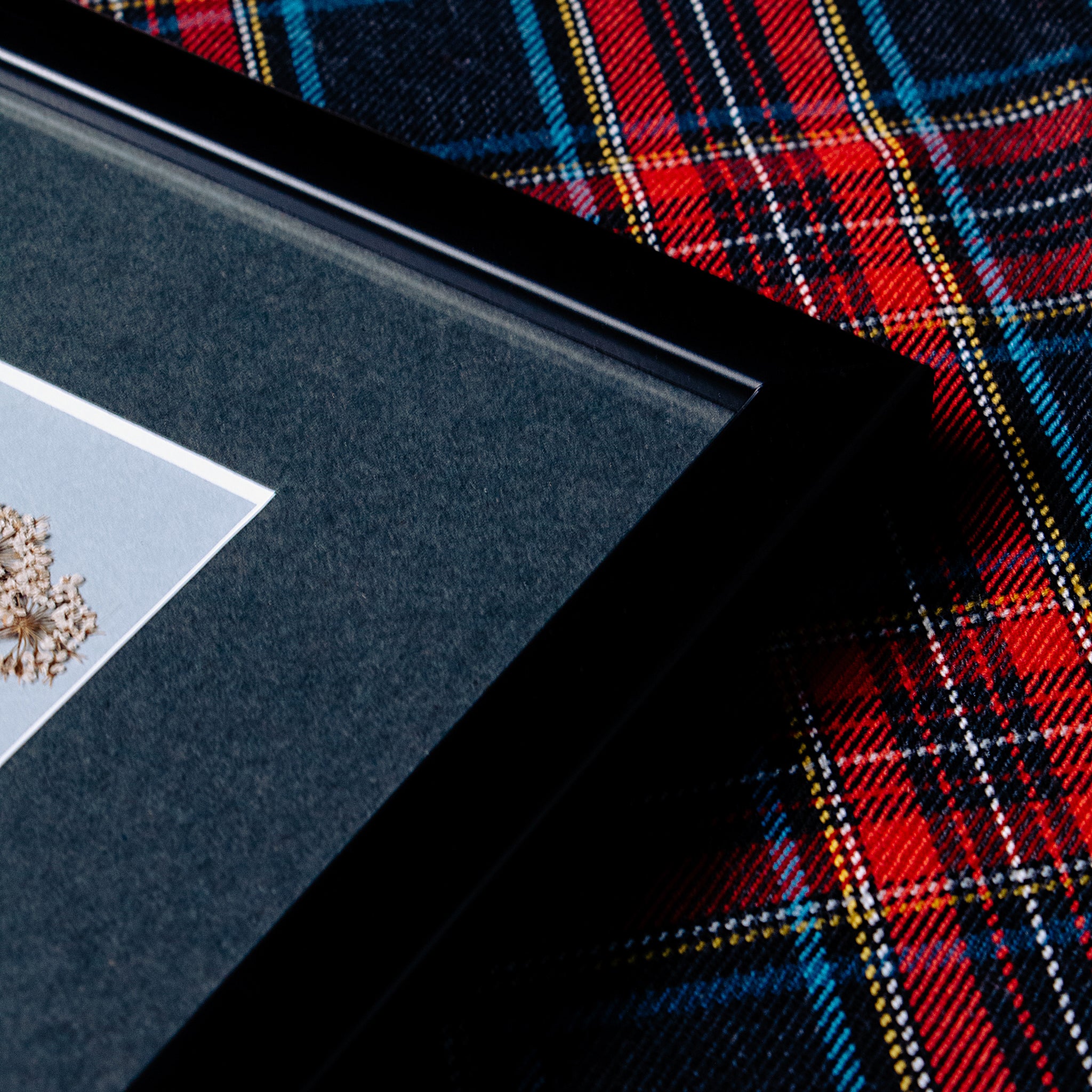 Detalle de cuadro botánico enmarcado con marco de madera negra, colección “Jardín Preservado”.