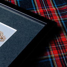 Detalle de cuadro botánico enmarcado con marco de madera negra, colección “Jardín Preservado”.