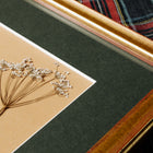 Detalle de cuadro botánico enmarcado con marco de madera dorada y paspartú, flores y follajes prensados cuidadosamente dispuestos sobre fondo de papel, colección “Jardín Preservado”.