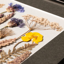 Detalle de plantas prensadas a mano de cantueso, matriarca, lavanda, centaura, lupino y milenrama, mostrando sus colores y texturas naturales en cuadro botánico artesanal.