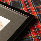 Detalle de marco negro de cuadro botánico enmarcado con paspartú, flores y follajes prensados cuidadosamente dispuestos sobre fondo claro, colección “Jardín Preservado”.