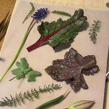 Hojas y flores frescas recolectadas y preparadas para prensar