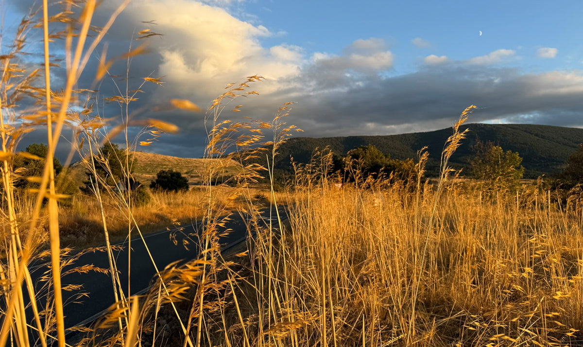 campo segoviano atardecer de verano