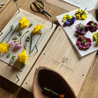 Plantas autóctonas prensadas cuidadosamente a mano para cuadro botanico.