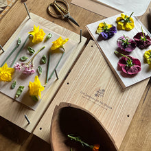 Plantas autóctonas prensadas cuidadosamente a mano para cuadro botanico.