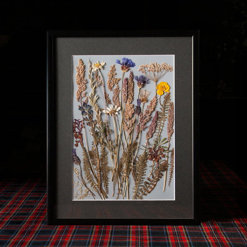 Cuadro botánico silvestre