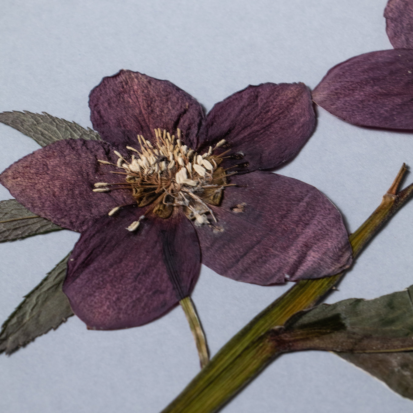 Cuadro "Amor en la niebla"