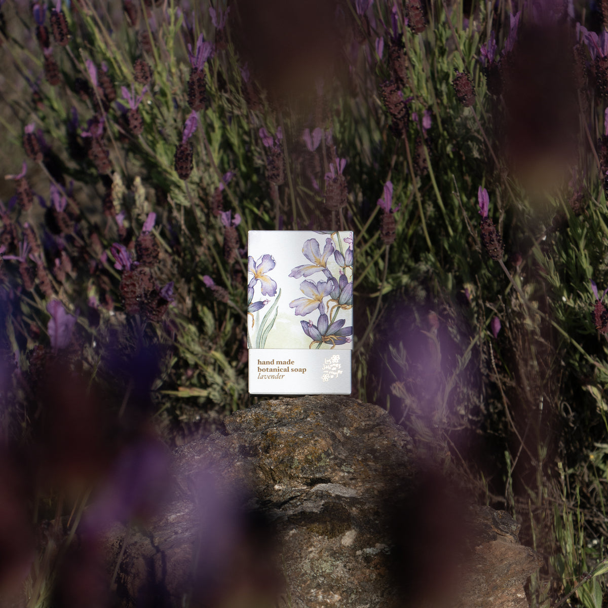 Estuche del Jabón de Lavanda entre flores de lavanda - Los Jabones de Mi Mujer