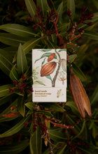 Estuche del Jabón de Manteca de Cacao entre vegetación - Los Jabones de Mi Mujer
