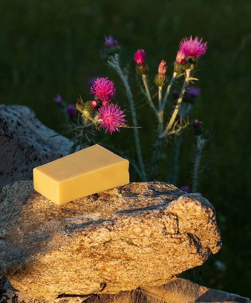 Jabón de Rosa Mosqueta sobre piedra en la naturaleza - Los Jabones de Mi Mujer