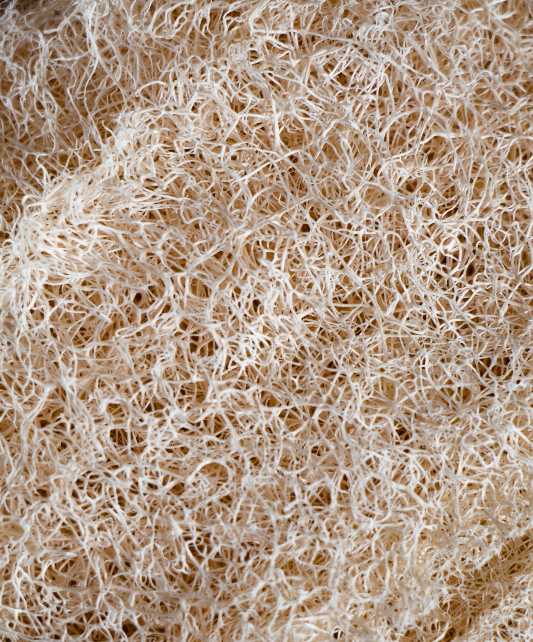 Esponja cuadrada de luffa - Los Jabones de Mi Mujer